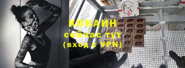 тгк Лиски