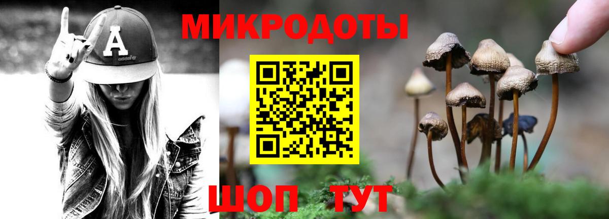 Псилоцибиновые грибы ЛСД Тында