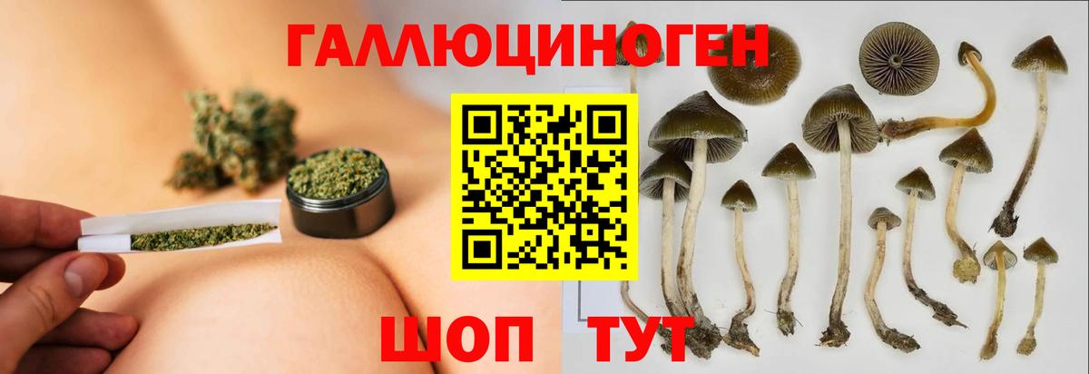 Тында  купить закладку  Вход с VPN  Псилоцибиновые грибы MAGIC MUSHROOMS 